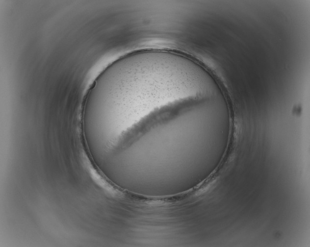 X0000110681421200906261310