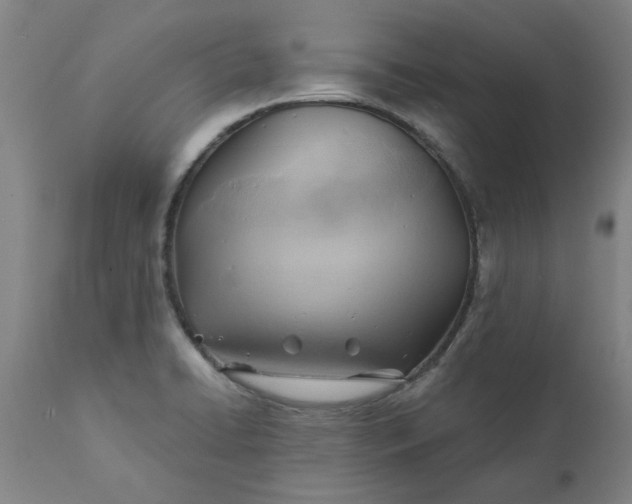 X0000110681422200906261310