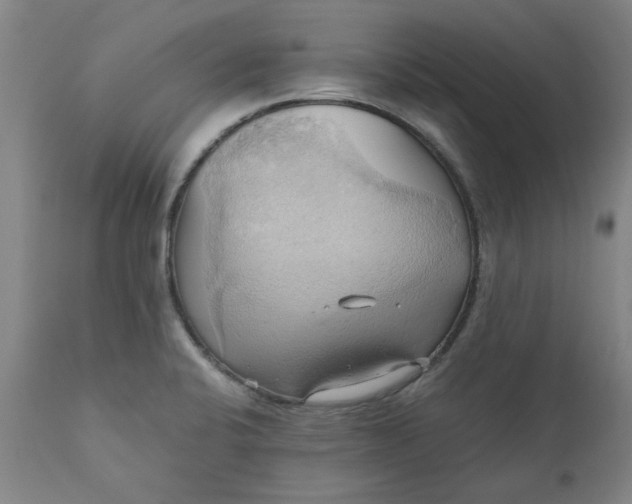 X0000110681424200906261310