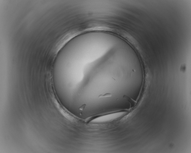 X0000110681425200906261310