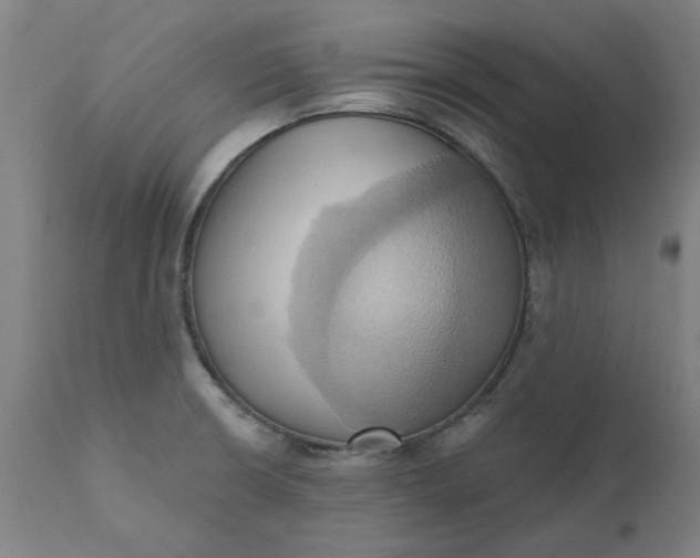 X0000110681426200906261310