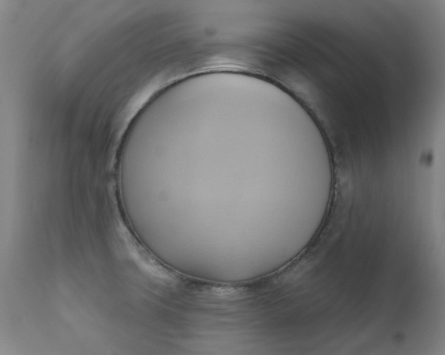 X0000110681427200906261310