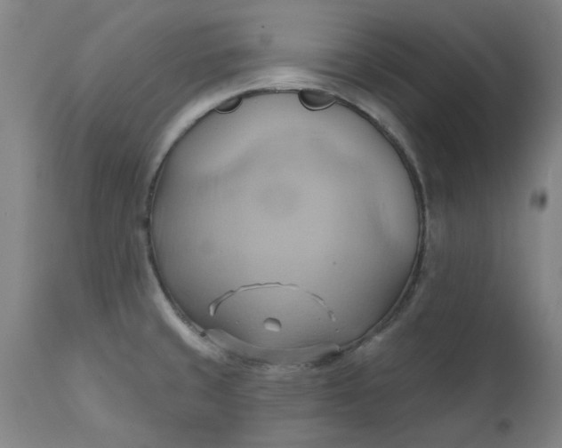 X0000110681429200906261310