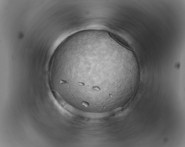 X0000110681430200906261310