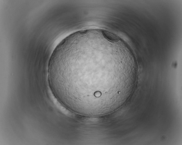 X0000110681431200906261310