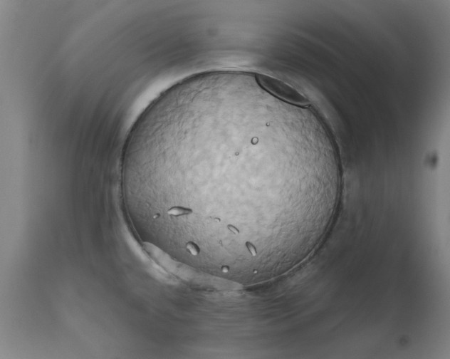 X0000110681432200906261310