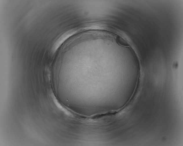 X0000110681433200906261310