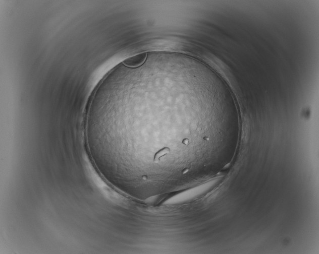 X0000110681434200906261310