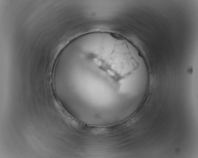 X0000110681435200906261310