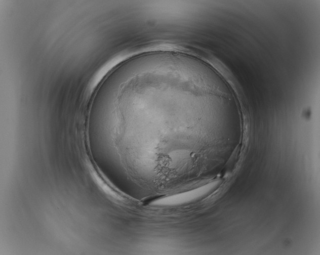 X0000110681438200906261310