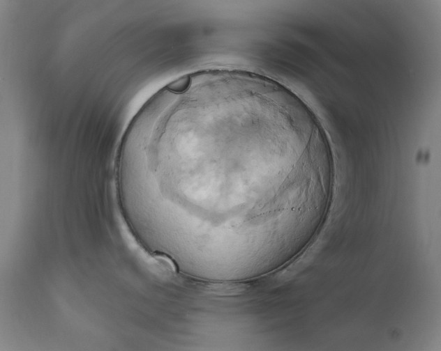 X0000110681440200906261310