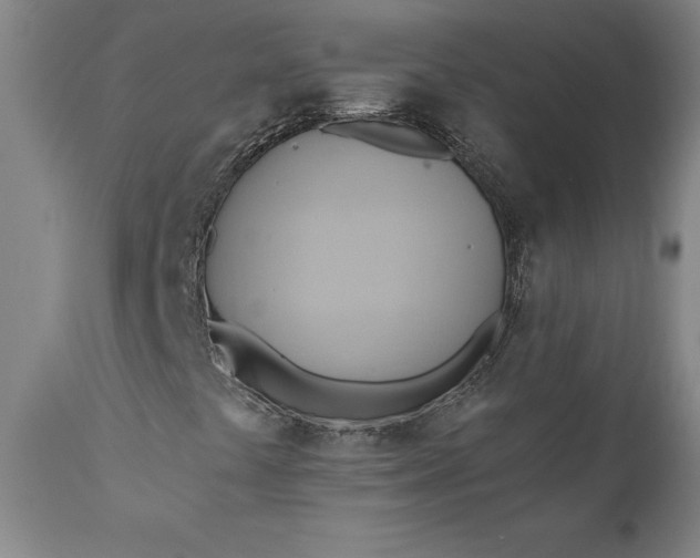 X0000110681441200906261309