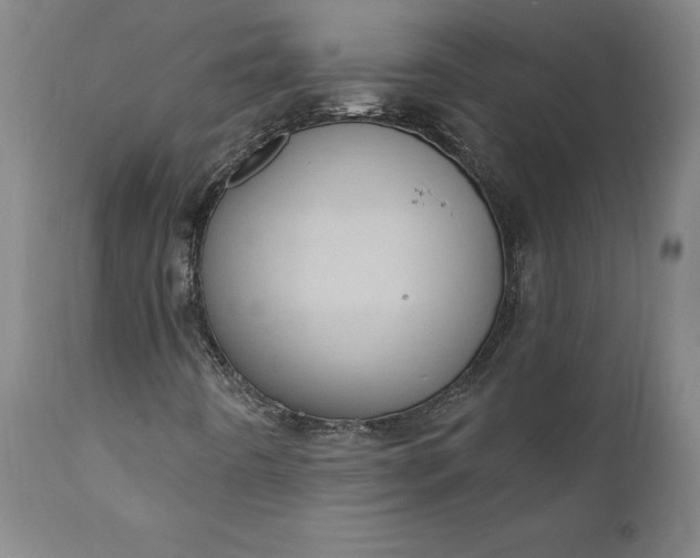 X0000110681442200906261309