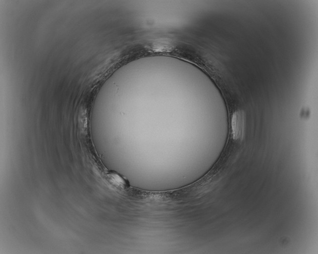 X0000110681443200906261309