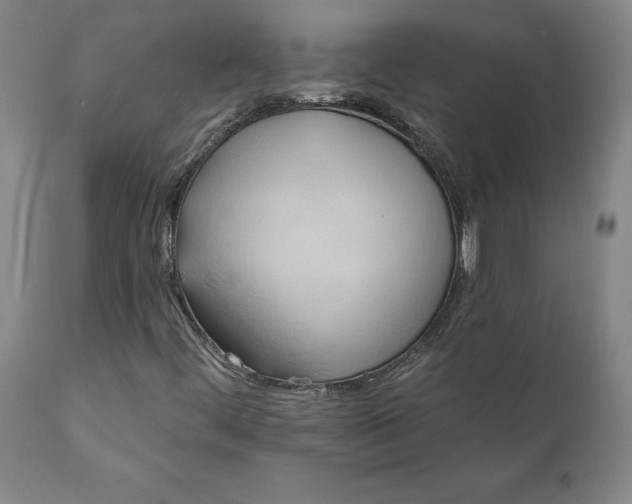 X0000110681444200906261309