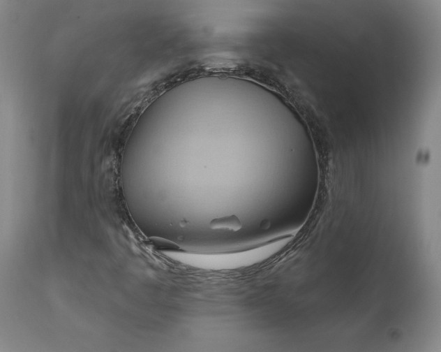 X0000110681445200906261309