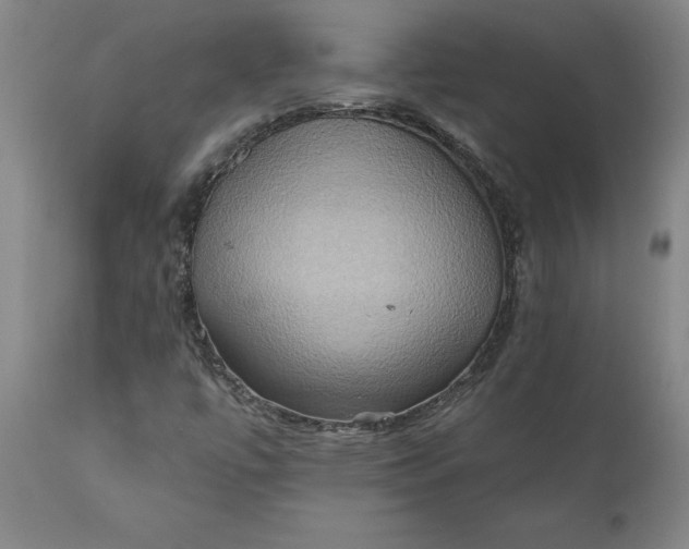 X0000110681447200906261309