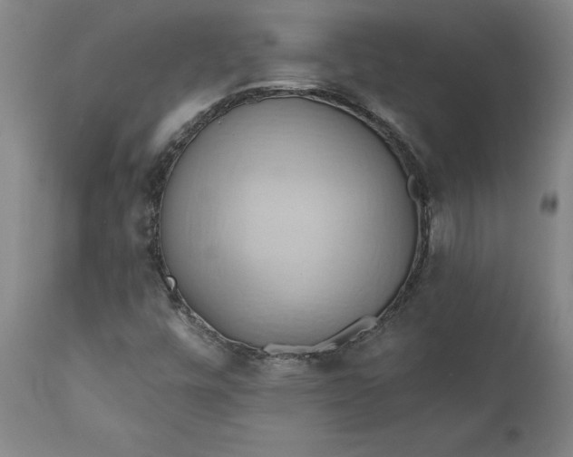 X0000110681448200906261309