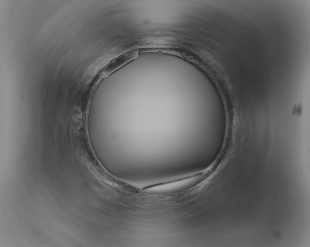 X0000110681449200906261309