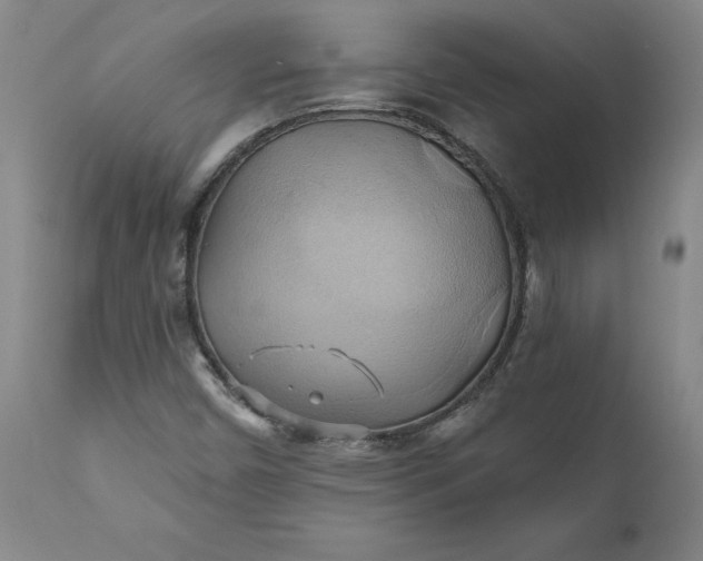 X0000110681450200906261309