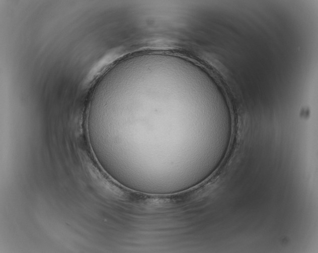 X0000110681451200906261309