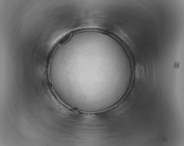 X0000110681452200906261309