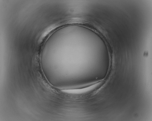 X0000110681453200906261309