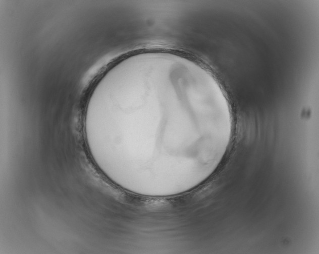 X0000110681454200906261309