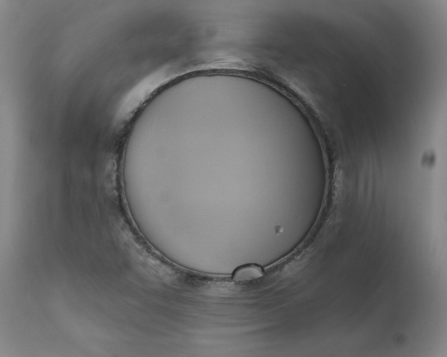 X0000110681455200906261309