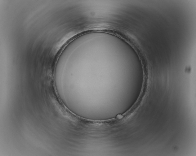 X0000110681457200906261309