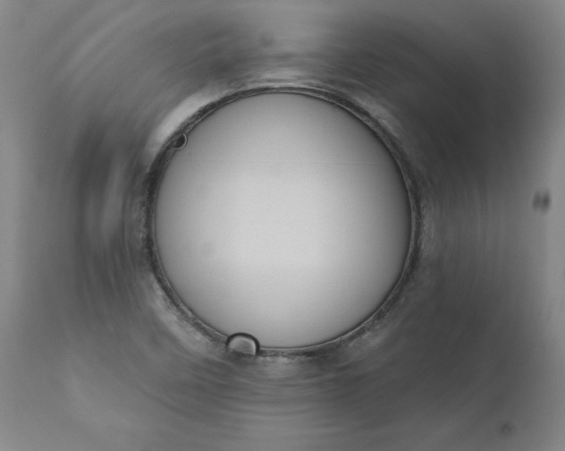 X0000110681458200906261309