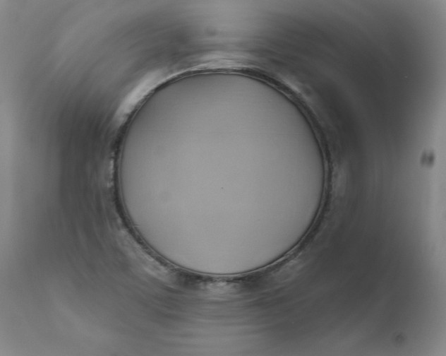 X0000110681459200906261309