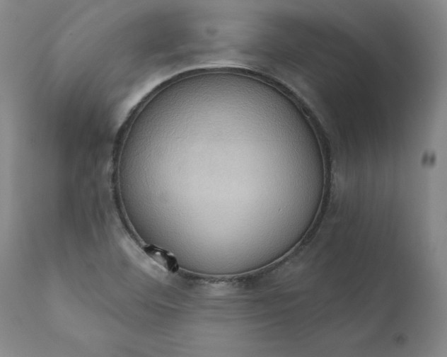 X0000110681460200906261309