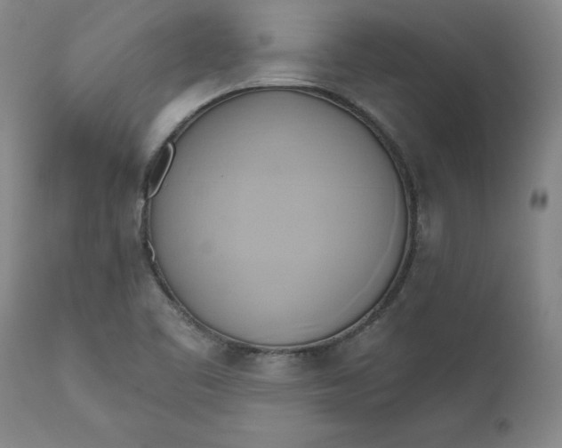 X0000110681461200906261309