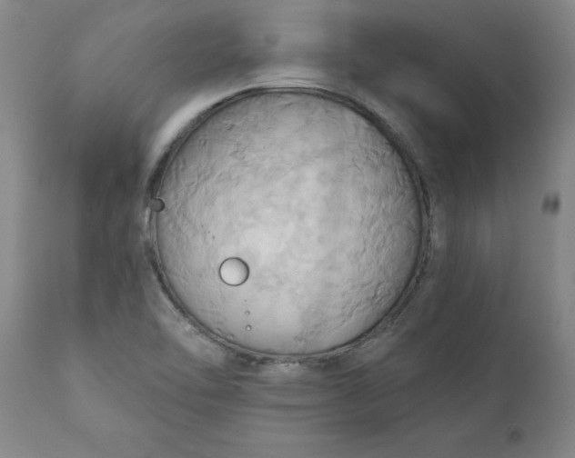 X0000110681462200906261309