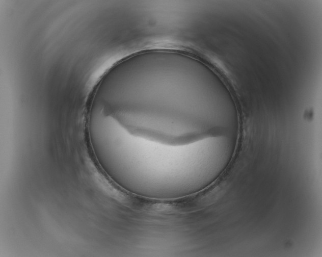 X0000110681463200906261309