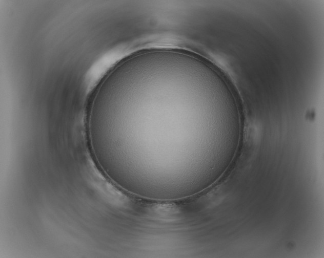 X0000110681464200906261309