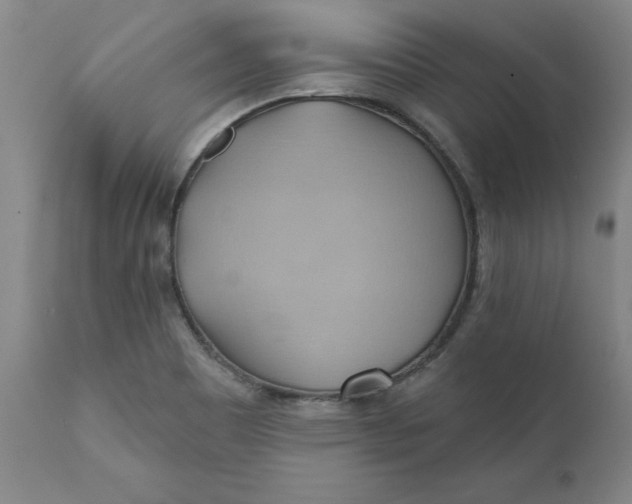 X0000110681465200906261309