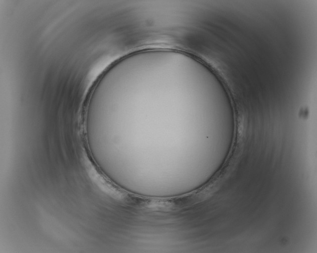 X0000110681466200906261309