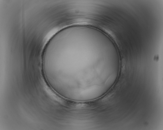 X0000110681467200906261309