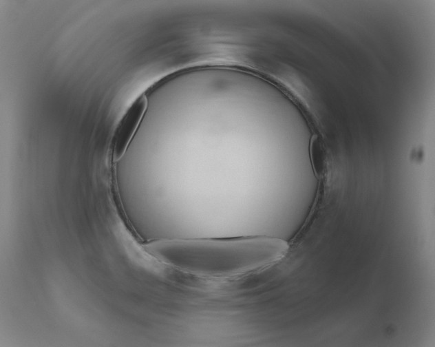 X0000110681468200906261309