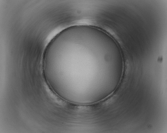 X0000110681469200906261309