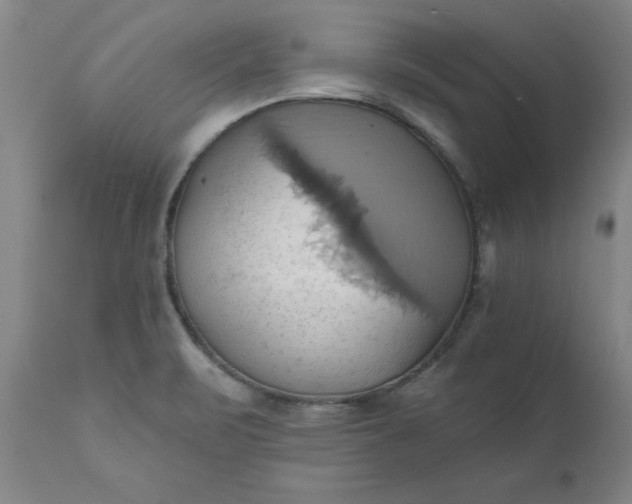 X0000110681471200906261309