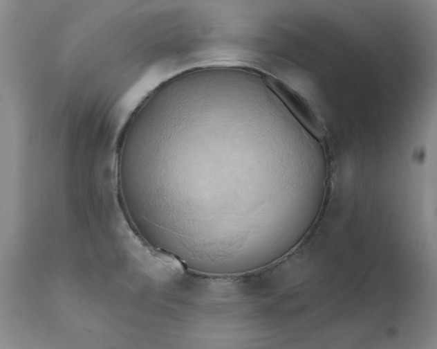 X0000110681472200906261309