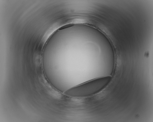 X0000110681473200906261309