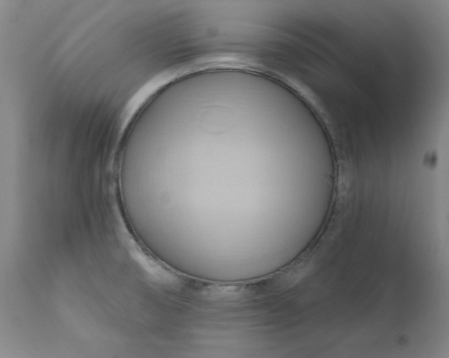 X0000110681474200906261309