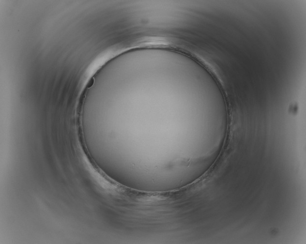 X0000110681475200906261309