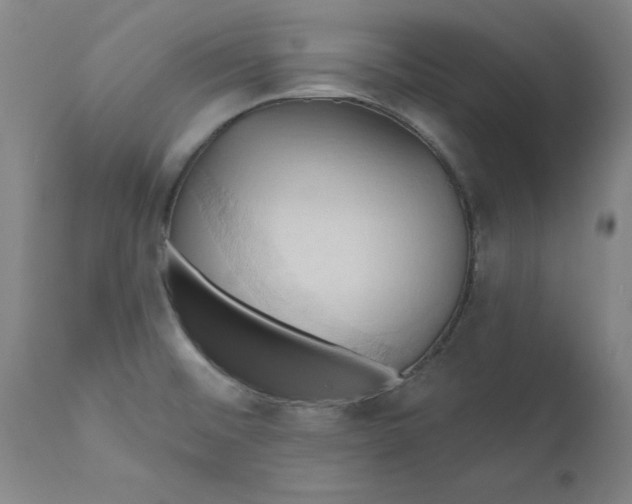 X0000110681476200906261309