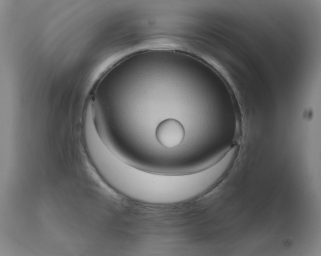 X0000110681477200906261309