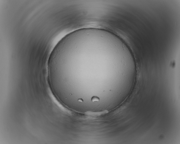 X0000110681479200906261309